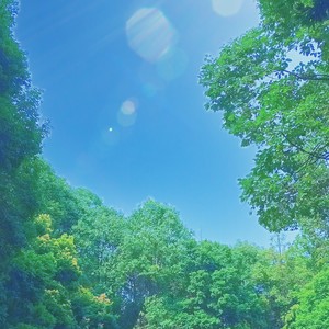 Don't Care - 山灵人间