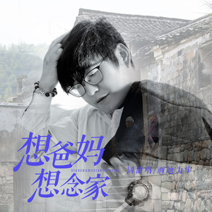 想爸妈想念家 (伴奏)