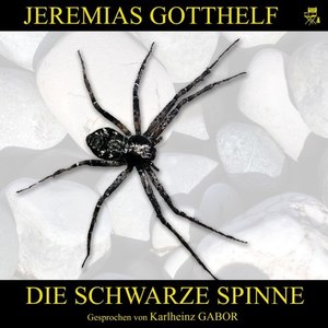 Die schwarze Spinne