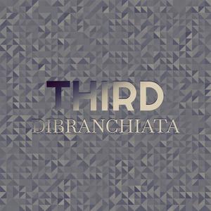 Third Dibranchiata