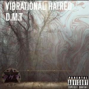 Vibrational Hatred (Explicit)