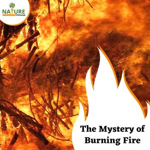 The Mystery of Burning Fire