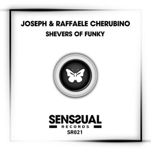 Shevers of Funky (Dub 2010 Lele Mix)