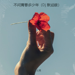 不问青春多少年 (DJ默涵版|Dj 默涵版)
