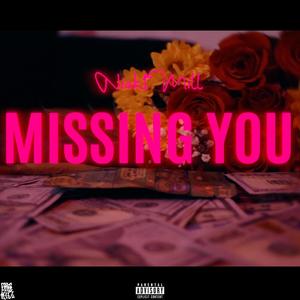 Missing You (Explicit)