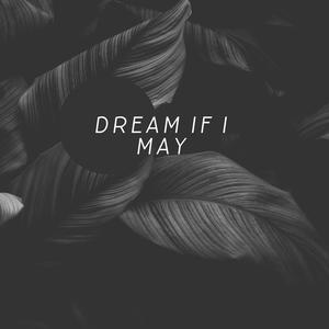 Dream if I May