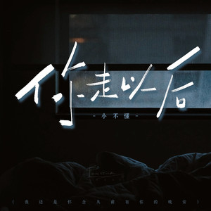 你走以后