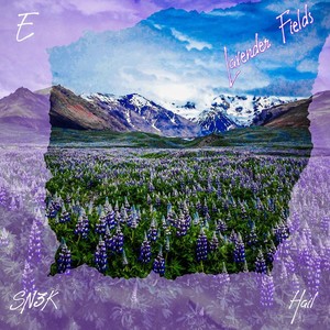 Lavender Fields (Explicit)