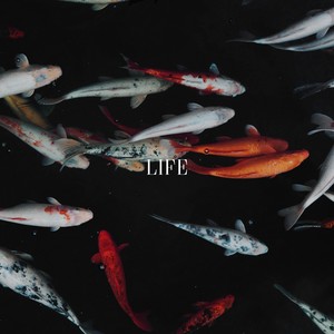 Life (Explicit)