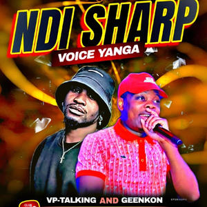 VP Talking & Geenkon (Ndi Sharp) (feat. TonicBeatz) [Explicit]