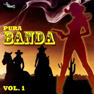 Pura Banda Vol. 1