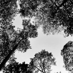 Мы мыслим одинаково