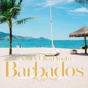 Barbados (feat. Okay Pronto) [Trinidad Remix] [Explicit]