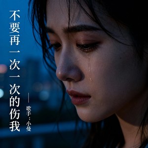 不要再一次一次的伤我 (微醺慢摇版)