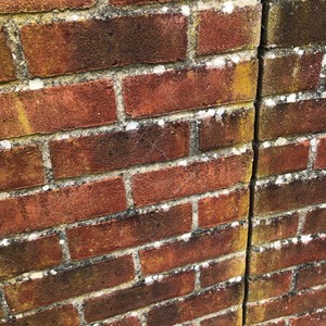 Brimstone (Explicit)