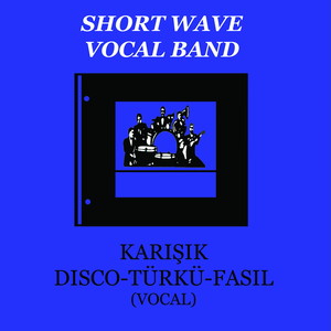 Karışık Disco / Türkü / Fasıl (feat. Jazz Band Studio Orchestra)