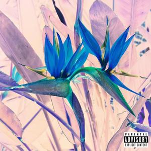 Pressed (feat. YBK Lamar) (Explicit)