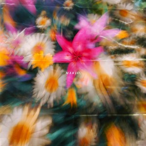 M A R I O (“马里奥”)