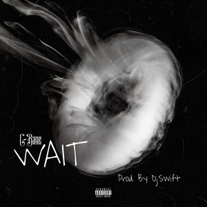 Wait (Stepped In) [Explicit]