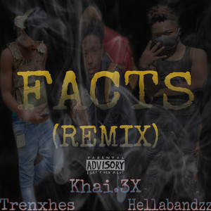 Facts Remix (Explicit)