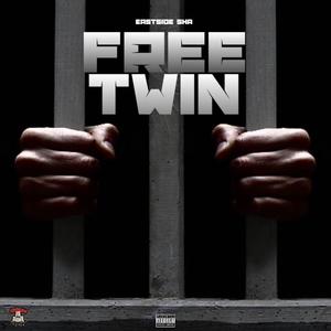 Free Twin (Explicit)