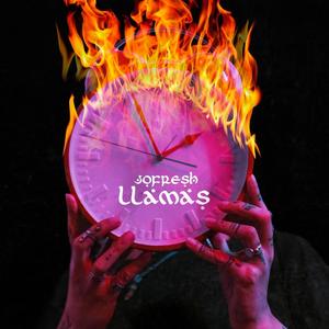 Llamas (Explicit)