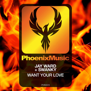 Want Your Love (Extended Mix)