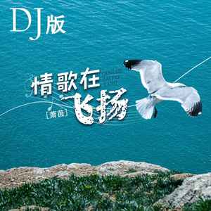情歌在飞扬 (DJ版伴奏)