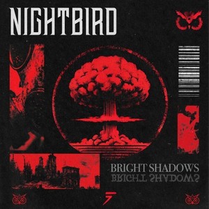 Bright Shadows (Explicit)