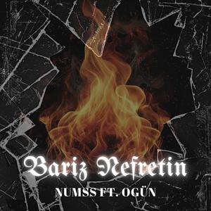 Bariz Nefretin (feat. Ogün)