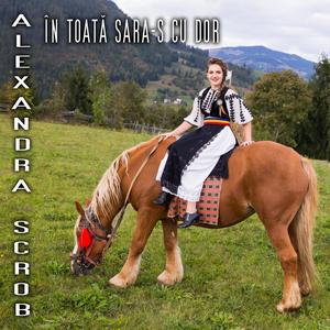 În toată sara-s cu Dor