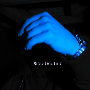 Evolvulus (Explicit)