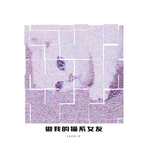 猫系女友封面