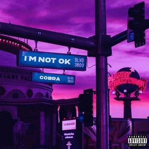 I'm Not Ok (Explicit)