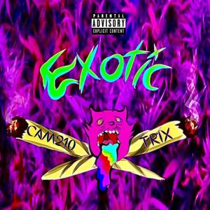 Exotic (Explicit)