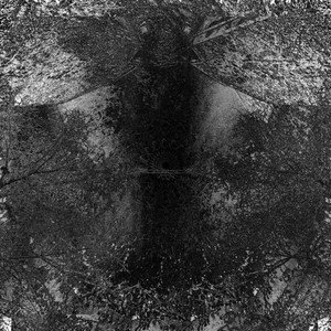 L'échappée des voix (Fuck the old mix)