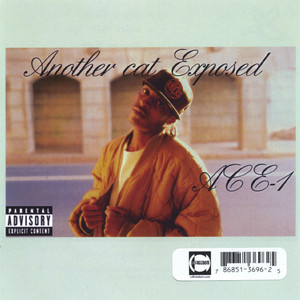 I Wanna Be A Hustler