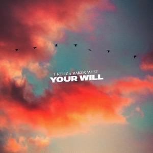 Your Will