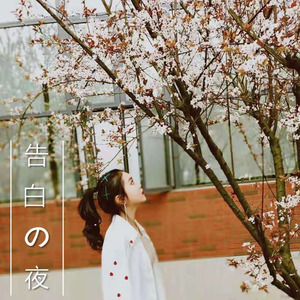 告白之夜