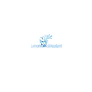 Limonium sinuatum