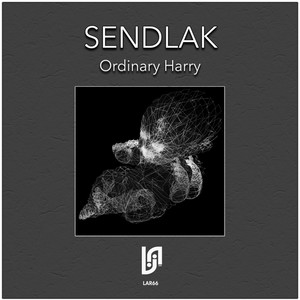Ordinary Harry (Duo K Remix)