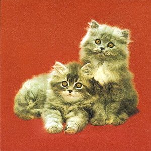 Misty Disco (Elliot Eastwick Remix)