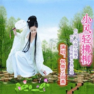 小风轻拂柳 (枫舞缺女声)