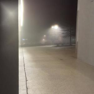 fish in a cup (Explicit)