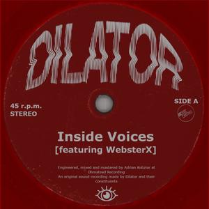 Inside Voices (feat. WebsterX) Remix