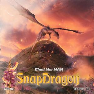 Budget(feat. Savy Too Saucy & Mahrii) (Explicit)