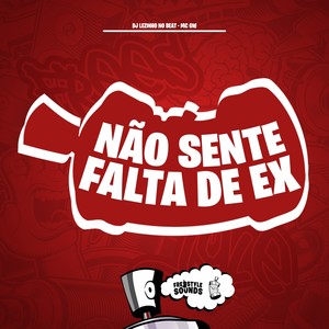 Não Sente Falta de Ex (Explicit)