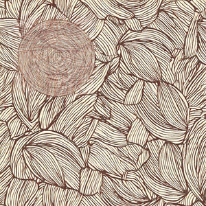 Aborto magico (Explicit)