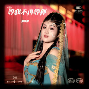 等我不再等你 (伴奏)
