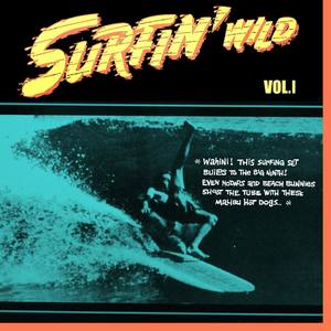 Surfin' Wild Vol.1, 16 Wild Instrumental Rockers